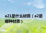 a21是什么材质（a2是哪种材质）