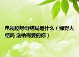 电视剧绿野结局是什么（绿野大结局 送给需要的你）
