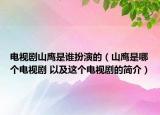电视剧山鹰是谁扮演的（山鹰是哪个电视剧 以及这个电视剧的简介）