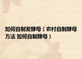 如何自制发酵母（农村自制酵母方法 如何自制酵母）