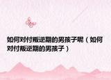 如何对付叛逆期的男孩子呢（如何对付叛逆期的男孩子）