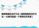 猪咳嗽最佳治疗方法（猪咳嗽最快治疗方法 一头猪可能是一个家的经济来源）