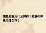 鳊鱼路亚用什么饵钓（路亚钓厥鱼用什么饵）