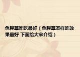 鱼腥草咋吃最好（鱼腥草怎样吃效果最好 下面给大家介绍）