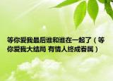 等你爱我最后谁和谁在一起了（等你爱我大结局 有情人终成眷属）
