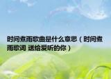 时间煮雨歌曲是什么意思（时间煮雨歌词 送给爱听的你）