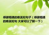 感谢相遇的唯美短句子（感谢相遇的唯美短句 大家可以了解一下）