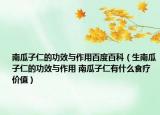 南瓜子仁的功效与作用百度百科（生南瓜子仁的功效与作用 南瓜子仁有什么食疗价值）