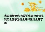 当日最新消息 亲爱的生命杜帝掉头发怎么回事为什么这样生什么病了吗