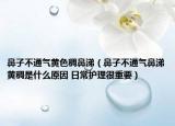 鼻子不通气黄色稠鼻涕（鼻子不通气鼻涕黄稠是什么原因 日常护理很重要）