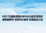 9月17日最新更新内容300元能买到真的缅甸翡翠吗 有购买价值吗 详细情况介绍