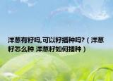 洋葱有籽吗,可以籽播种吗?（洋葱籽怎么种 洋葱籽如何播种）