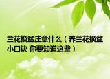 兰花换盆注意什么（养兰花换盆小口诀 你要知道这些）