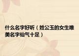 什么名字好听（姓公玉的女生唯美名字仙气十足）