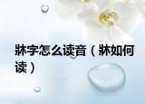 牀字怎么读音（牀如何读）