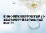 歌词有心里的花我想要带你回家的歌（心里的花我想要带你回家是什么歌 对应的歌词内容）