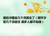猪的孕期是几个月就生了（猪怀孕后几个月能生 很多人都不知道）