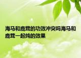 海马和鹿茸的功效冲突吗海马和鹿茸一起炖的效果