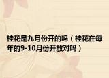 桂花是九月份开的吗（桂花在每年的9-10月份开放对吗）