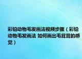 彩铅动物毛发画法视频步骤（彩铅动物毛发画法 如何画出毛茸茸的感觉）