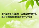 农村发展什么有前景（未来农村发展什么最好 农村发展前景最好的3大行业）
