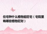 住宅种什么植物能旺宅（宅院里栽哪些植物旺财）