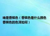 啥是香槟色（香槟色是什么颜色 香槟色的色泽如何）
