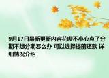 9月17日最新更新内容花呗不小心点了分期不想分期怎么办 可以选择提前还款 详细情况介绍