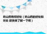 吃山药有何好处（吃山药的好处和坏处 赶快来了解一下吧）