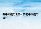老牛太瘦怎么办（养的牛太瘦怎么办）