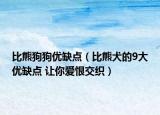 比熊狗狗优缺点（比熊犬的9大优缺点 让你爱恨交织）