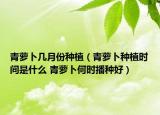 青萝卜几月份种植（青萝卜种植时间是什么 青萝卜何时播种好）