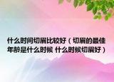 什么时间切眉比较好（切眉的最佳年龄是什么时候 什么时候切眉好）