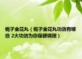 栀子金花丸（桅子金花丸功效有哪些 2大功效为你保健调理）