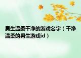 男生温柔干净的游戏名字（干净温柔的男生游戏id）