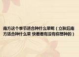 南方这个季节适合种什么菜呢（立秋后南方适合种什么菜 快看看有没有你想种的）