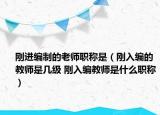 刚进编制的老师职称是（刚入编的教师是几级 刚入编教师是什么职称）