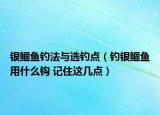 银鲴鱼钓法与选钓点（钓银鲴鱼用什么钩 记住这几点）