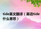 tide英文翻译（英语tide什么意思）