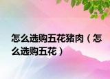 怎么选购五花猪肉（怎么选购五花）