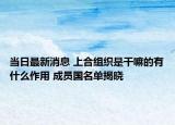 当日最新消息 上合组织是干嘛的有什么作用 成员国名单揭晓