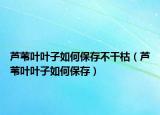 芦苇叶叶子如何保存不干枯（芦苇叶叶子如何保存）