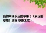 我的草原永远的草原（《永远的草原》原唱 草原之歌）
