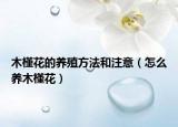 木槿花的养殖方法和注意（怎么养木槿花）