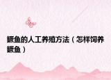 鳜鱼的人工养殖方法（怎样饲养鳜鱼）