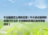 牛运输前怎么预防应激（牛长途运输预防应激打什么针 牛到新的环境后如何帮助适应）
