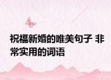 祝福新婚的唯美句子 非常实用的词语