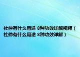 杜仲有什么用途 8种功效详解视频（杜仲有什么用途 8种功效详解）