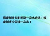 橡皮树多长时间浇一次水合适（橡皮树多少天浇一次水）
