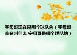 字母哥现在是哪个球队的（字母哥全名叫什么 字母哥是哪个球队的）